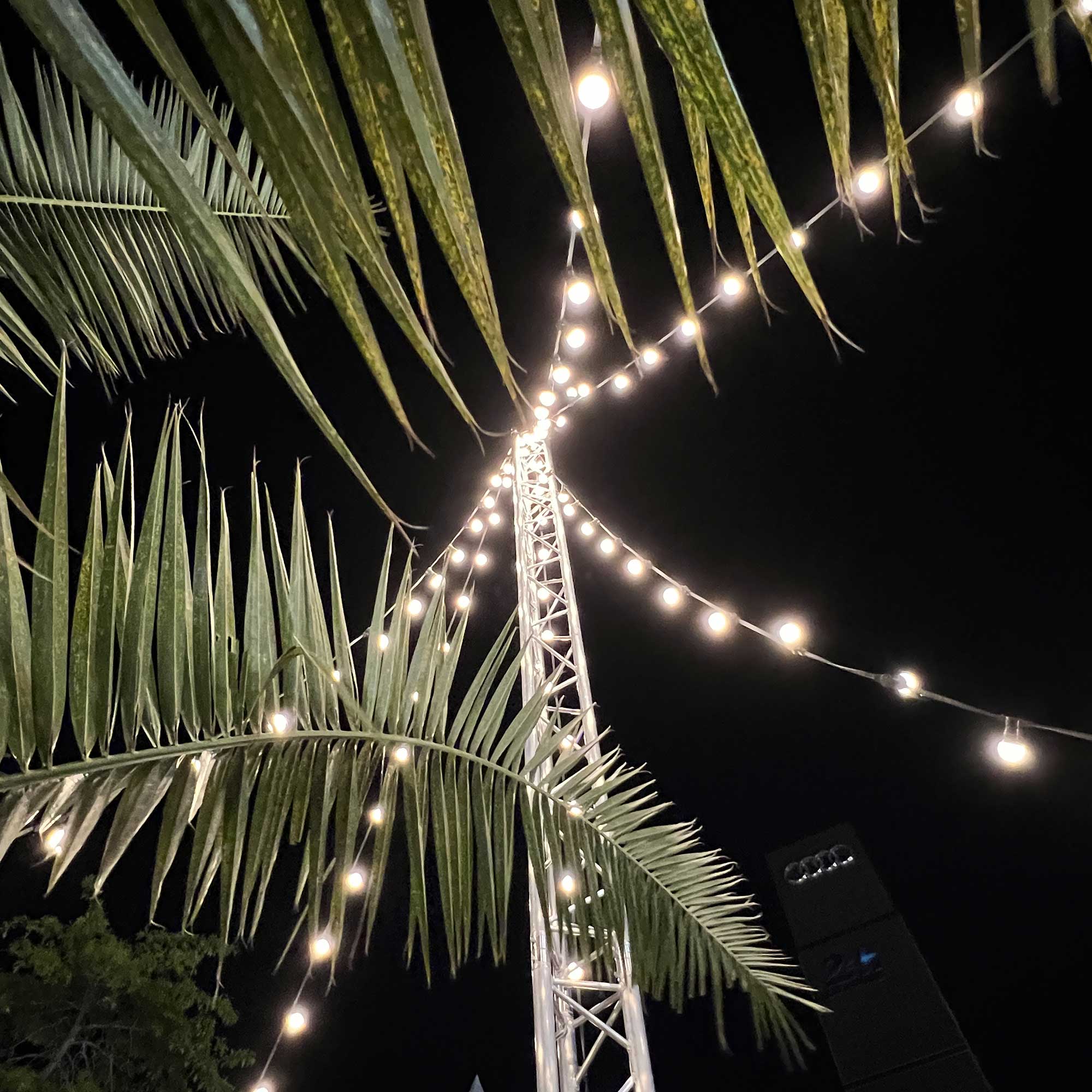 Guirlande Guinguette B22 L5m